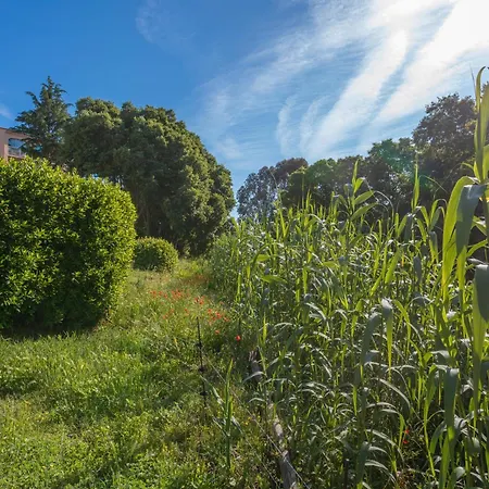 Domaine Du Preconil Sainte-Maxime