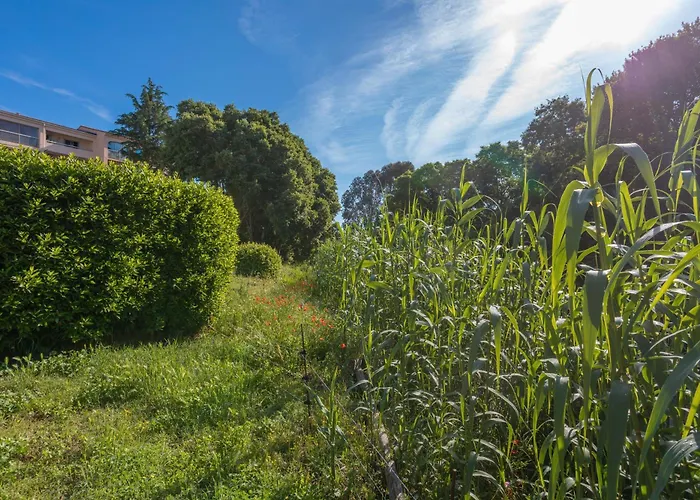 - Domaine Du Preconil Sainte-Maxime